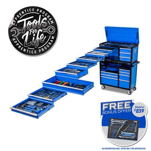 EVOLUTION Workshop Tool Kit 399 Piece 18 Drawer (41")